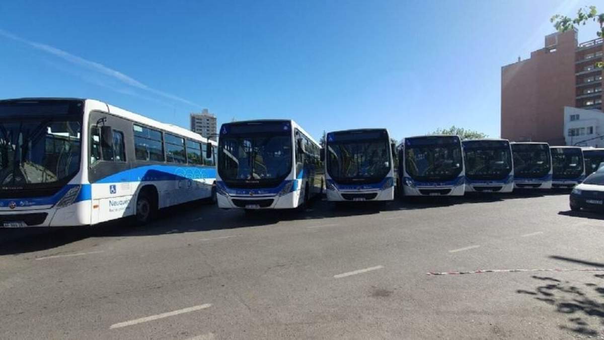 Los colectivos circularán hasta las 19 horas. Fuente: (Javier Manzano)