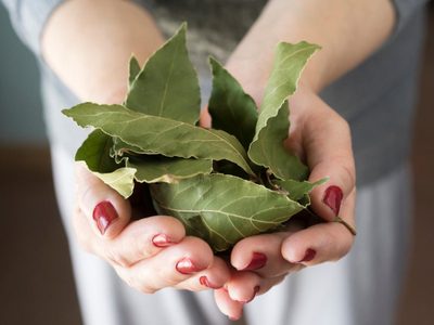 El ritual que podés hacer con las hojas de laurel para proteger tu hogar y abrir caminos