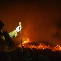 Mientras los incendios en Valle Magdalena siguen sin control, brigadistas lograron contener las llamas en Quillén