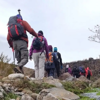 Buta Ranquil: aventura entre volcanes, lava y paisajes únicos del norte neuquino