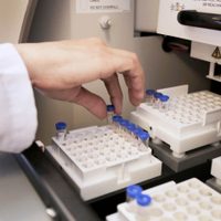 Coronavirus: se aprobó un test que detectará la enfermedad en 90 minutos