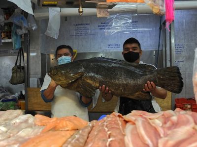 Canadá ofrece empleo de 60 mil pesos mensuales a quien sepa lavar pescado