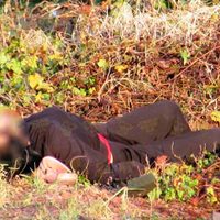 Suman 12 las mujeres asesinadas en Michoacán en lo que va del año