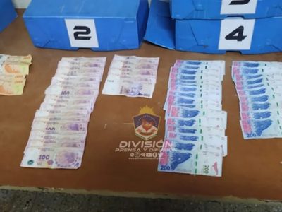 Dos delincuentes fueron detenidos luego de robar un comercio
