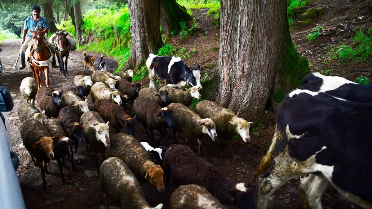 Entrega de Certificados Agroecológicos a Productores del Campo de la Ciudad de México