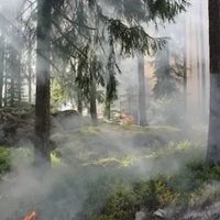 El Ministerio Público Fiscal avanza en la investigación sobre los incendios intencionales registrados en Villa Traful