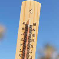 Clima en Neuquén: un jueves de calor y sol pleno en Neuquén