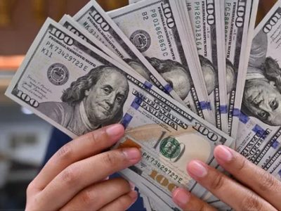 El dólar tuvo la suba semanal más fuerte desde la devaluación del 2023