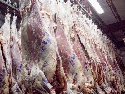 Estados Unidos cuadriplicó la cuota de compra de carne vacuna argentina