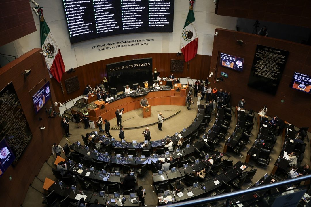 Senado 1 Foto Montserrat López