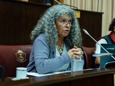 Solicitaron un informe sobre los estudios y el avance del proyecto geotérmico Domuyo
