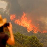 Arrecian los incendios forestales al sur del España: miles de hectáreas de bosque se calcinaron
