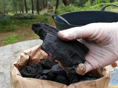 Cómo utilizar el carbón para fertilizar tus plantas y que se vuelvan más verdes, brillantes y rozagantes