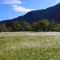 Clima en Neuquén: el miércoles mantendrá la tendencia primaveral