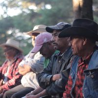 Meseta purépecha: la violación sistemática a derechos de indígenas