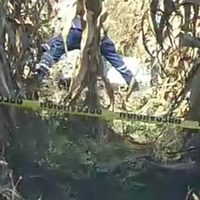 Lugareños hallan al menos seis cuerpos en fosas clandestinas en Guanajuato