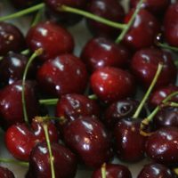 Una buena: la exportación de cerezas de la provincia de Neuquén superó las 900 toneladas