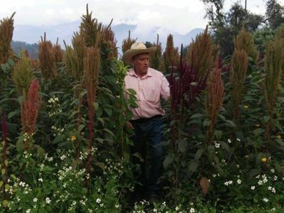 Matan a dos investigadores agroambientalistas en Tlalmanalco, Edomex