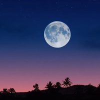 Horóscopo chino: los 5 signos que serán los grandes beneficiados por la Luna de Cosecha que se aproxima