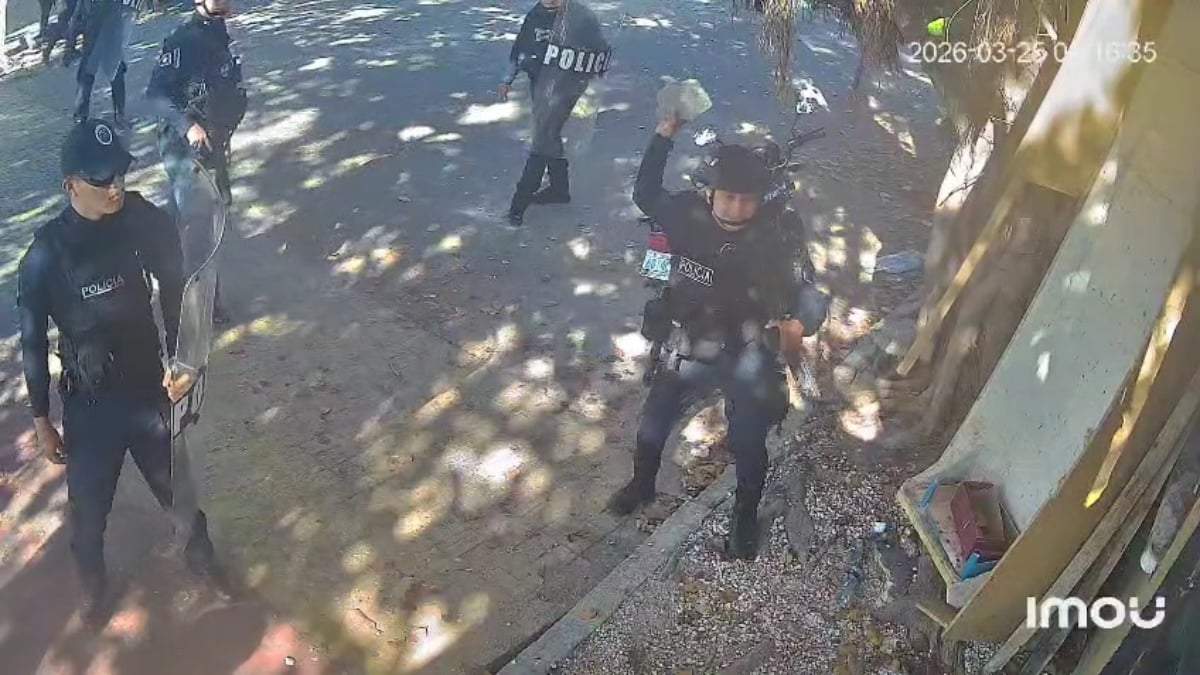 Policías lanzando piedras