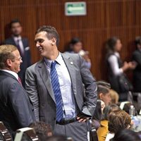 PVEM: Una historia de trampas