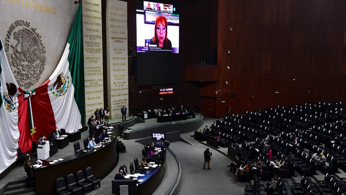 Rosario Ibarra Piedra en su comparecencia virtual ante diputados
