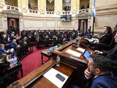 Imputabilidad a los 14 y Reforma Laboral: cómo votaron los senadores de Neuquén