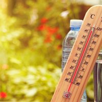 Tiempo en Neuquén: cómo estará el clima hoy en la provincia