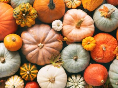 El zapallo está barato: aprovechá y hacé esta mermelada especiada con solo 4 ingredientes