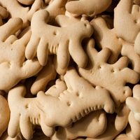 Sabrosas… pero peligrosas. Estos son los riesgos por comer galletas de animalitos