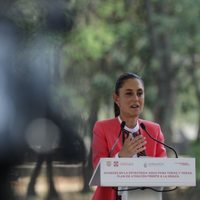 El daño al nuevo ahuehuete "puede tener un motivo político": Sheinbaum