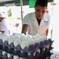ANPEC: El precio de la canasta básica bajó… 25 pesos en el último mes