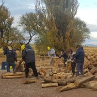 Cientos y cientos de familias zapalinas recibirán asistencia de leña
