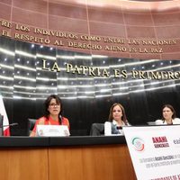 Presenta early institute prioridades de atención de la primera infancia 2024 – 2030 en el Senado