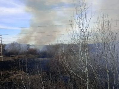 Hubo caos vehicular en los puentes carreteros de Neuquén - Cipolletti por un incendio de pastizales