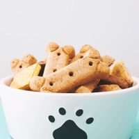 No compres snacks en el Pet Shop y hacé estas galletas para tu perro, saludables y súper crocantes