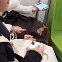 Detienen y esposan a cuatro jóvenes que se quedaron dormidas en un vagón del Metro (Video)