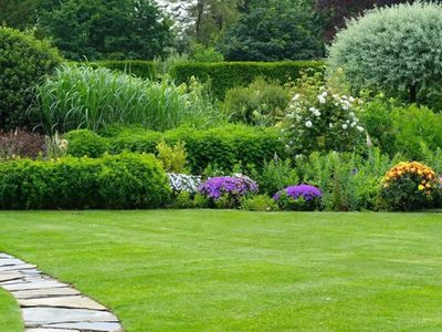 Si no querés gastar fortuna en panes de césped, este es el mejor secreto para llenar tu jardín del pasto más verde