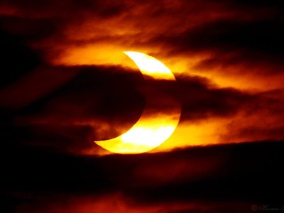El eclipse total de sol incluye flor de sorpresa ¡Enterate cuál es!