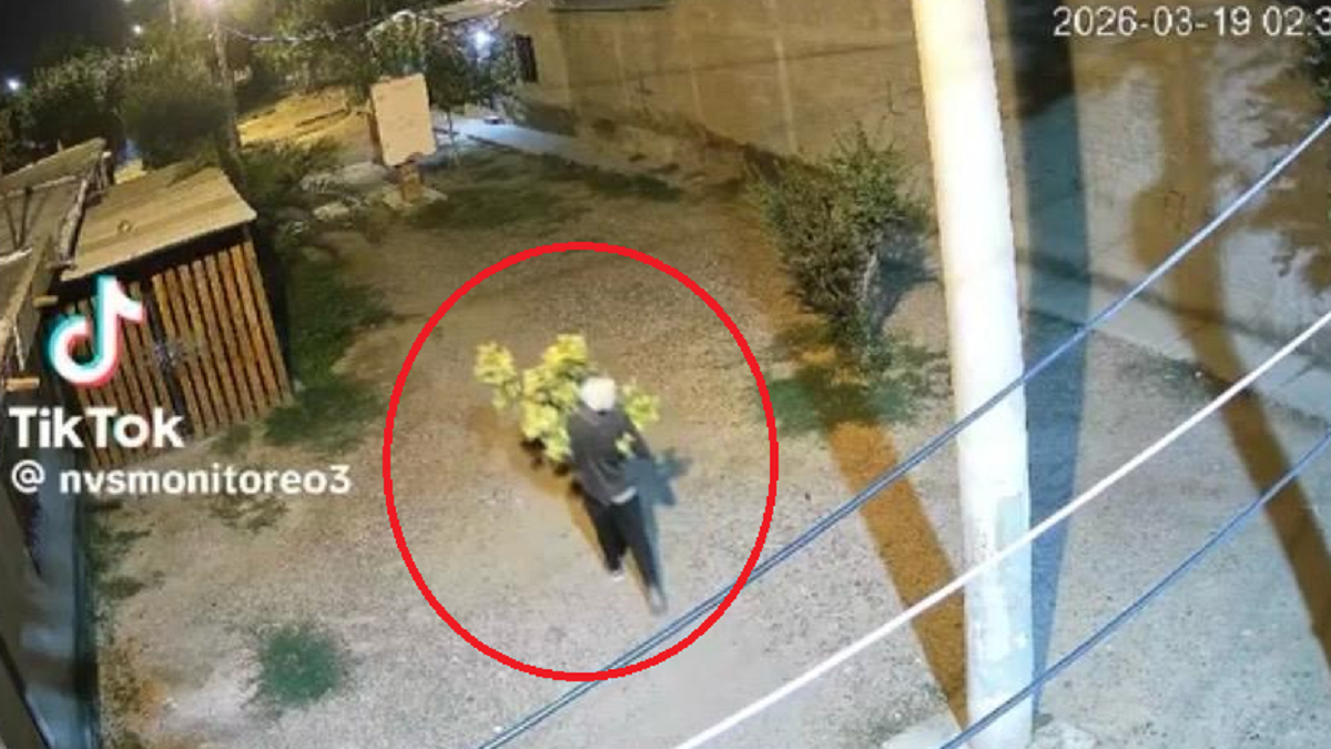 El hombre iba tranquilo con su planta.