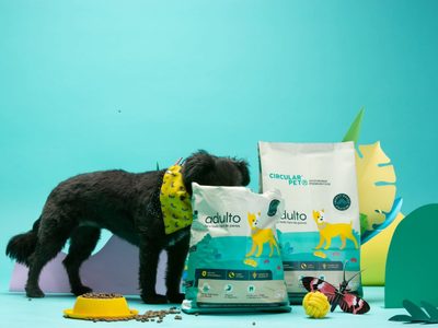 No tires las bolsas de alimento de tu mascota: transformalas en esta maceta súper resistente para tu jardín