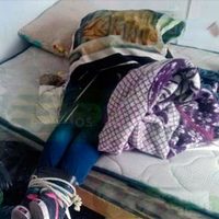 Reportan cinco narcoejecuciones en 24 horas en Michoacán