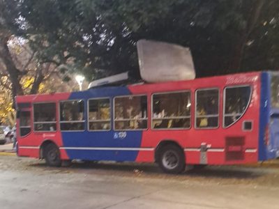 Un colectivo chocó con una rama y perdió el techo