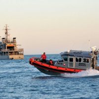 Presumen avances en protección de vaquita marina y totoaba
