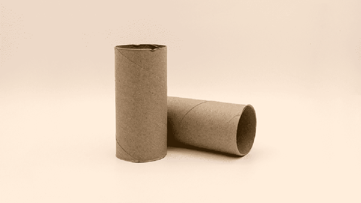 Rollos de papel higiénico. Fuente: (X)
