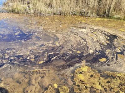 Irrigación destituyó a la inspectora que denunció contaminación