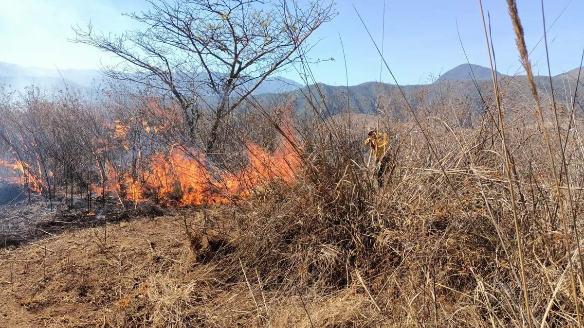 Uno de los incendios activos en Tajín