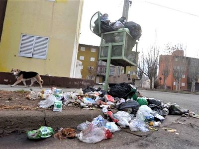 Caos en la recolección de basura: qué dijo el representante legal de Cliba