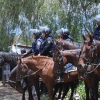Desalojan a un grupo de invasores del Cerro de la Estrella en Iztapalapa