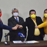PRI, PAN y PRD firman convenio de coalición en Veracruz